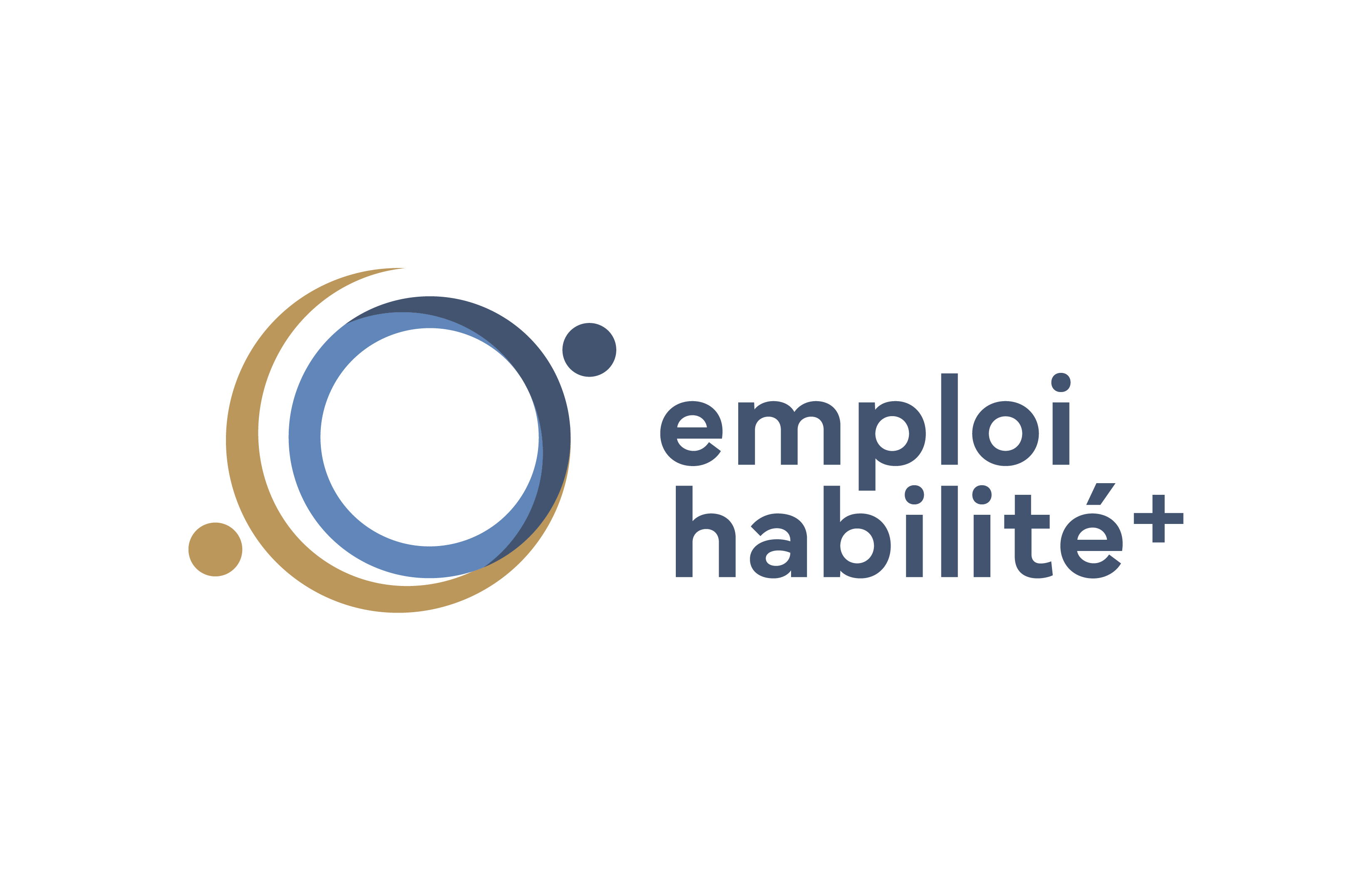 Emploi Habilité + Image 1